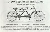 Styria 1895