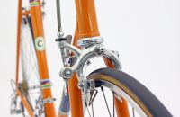 MOLTENI TEAM REPLICA - Italy