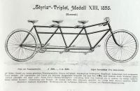 Styria 1895