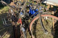 Lipsheim - 2022