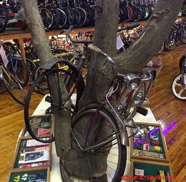 299/A - Bicycle Heaven, USA