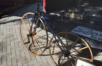 Pickering velocipede V.