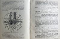 Victor catalogue 1886/1889