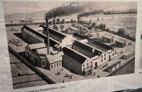 305 - Muzeum Cheb