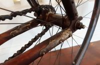 Ride On! Ligna