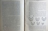 Victor catalogue 1886/1889