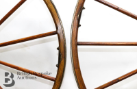 Hanlon velocipede II