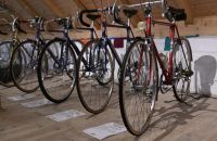 303 - Expo Elegantspolek
