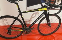 312/B - Colnago - Ferrari