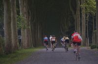 42/C - Retro Ronde (van Vlaanderen)