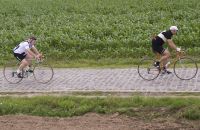 42/C - Retro Ronde (van Vlaanderen)