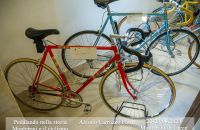313/A - Monteroni di Lecce 2023