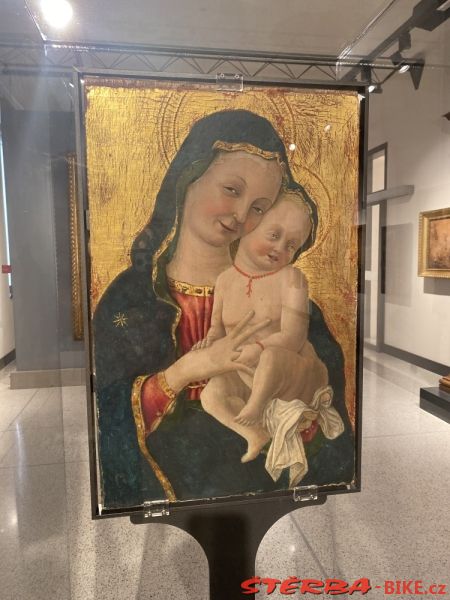 Museo Civico