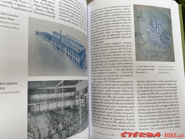 Mr.Azzini book
