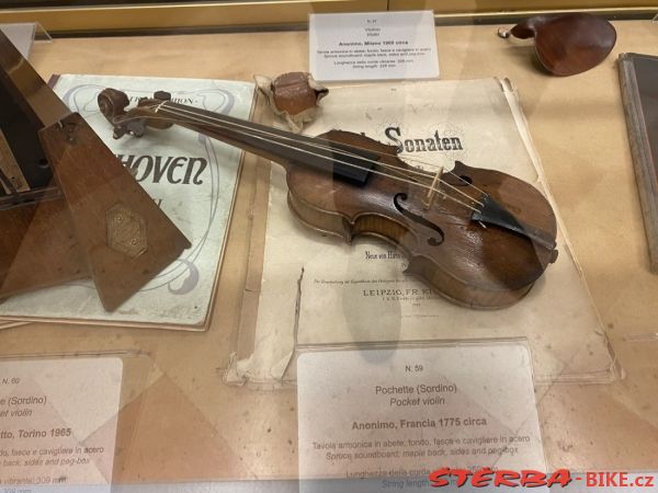 Museo Civico