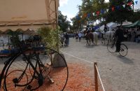 Atmosphere in Marmande 2011