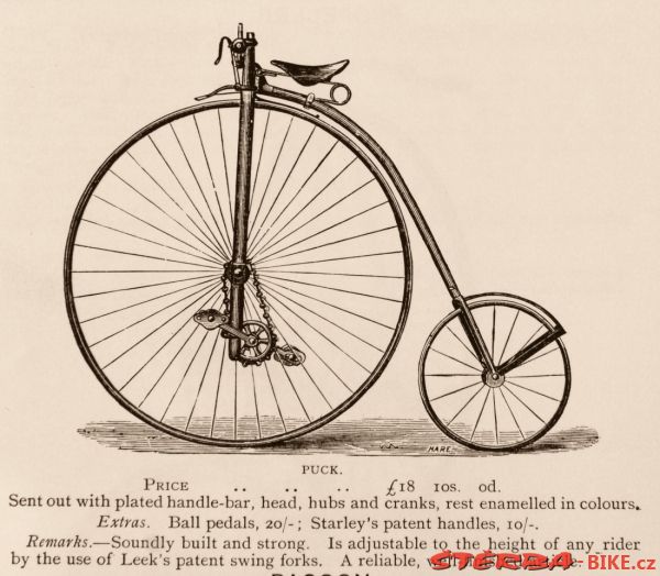 Kangaroo - Sturmey