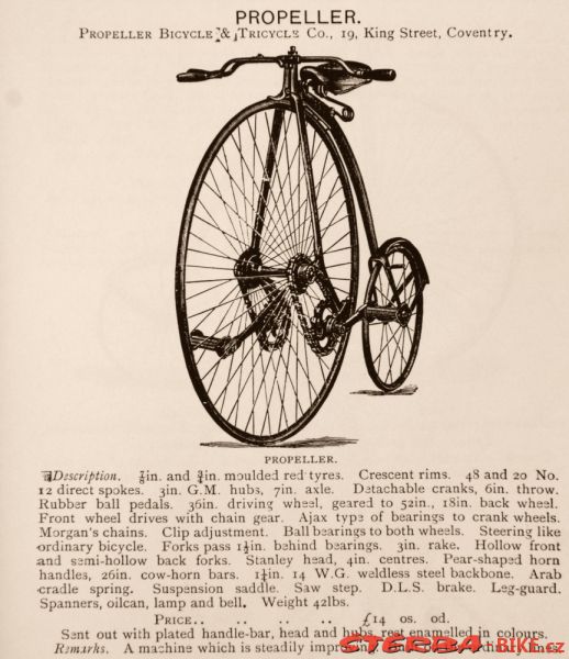 Kangaroo - Sturmey