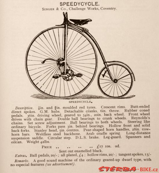 Kangaroo - Sturmey