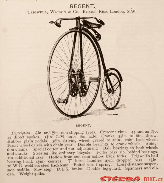 Kangaroo - Sturmey