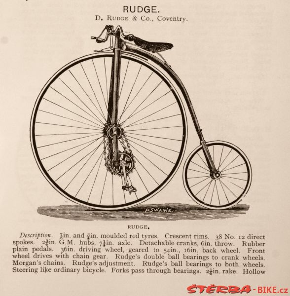 Kangaroo - Sturmey