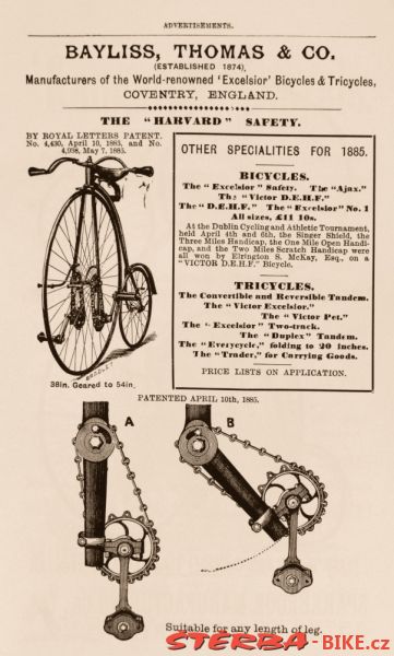 Kangaroo - Sturmey