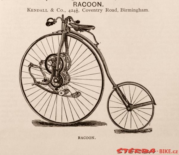 Kangaroo - Sturmey