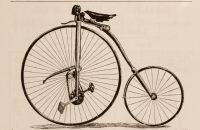 Kangaroo - Sturmey