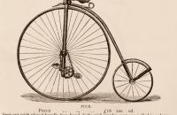 Kangaroo - Sturmey