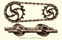 Kangaroo - Morgans chain