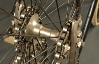 Kangaroo - Rudge Safety 1885
