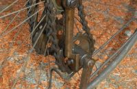 Kangaroo - Club – Coventry Machinists´ Co