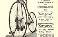 Kangaroo 13