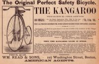 Kangaroo 13