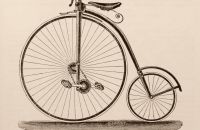 Kangaroo - Sturmey