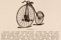 Kangaroo - Sturmey
