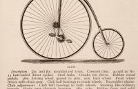 Kangaroo - Sturmey
