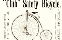 Kangaroo - Sturmey