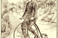 Kangaroo - Dan Rudge safety