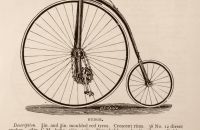 Kangaroo - Sturmey