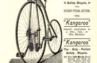 Kangaroo 1