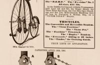 Kangaroo - Sturmey