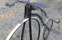 Kangaroo 16