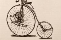 Kangaroo - Sturmey