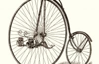 Kangaroo - Sturmey