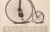 Kangaroo - Sturmey