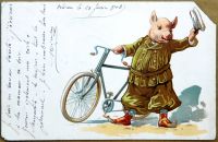 Postcards - ANIMALS AND PETS