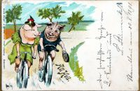 Postcards - ANIMALS AND PETS