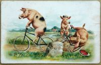 Postcards - ANIMALS AND PETS