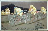 Postcards - ANIMALS AND PETS